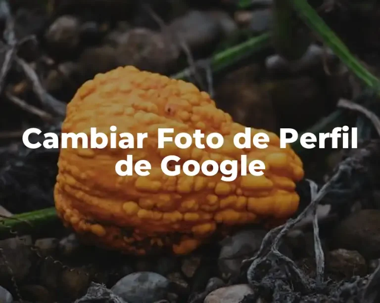 Cambiar Foto de Perfil de Google