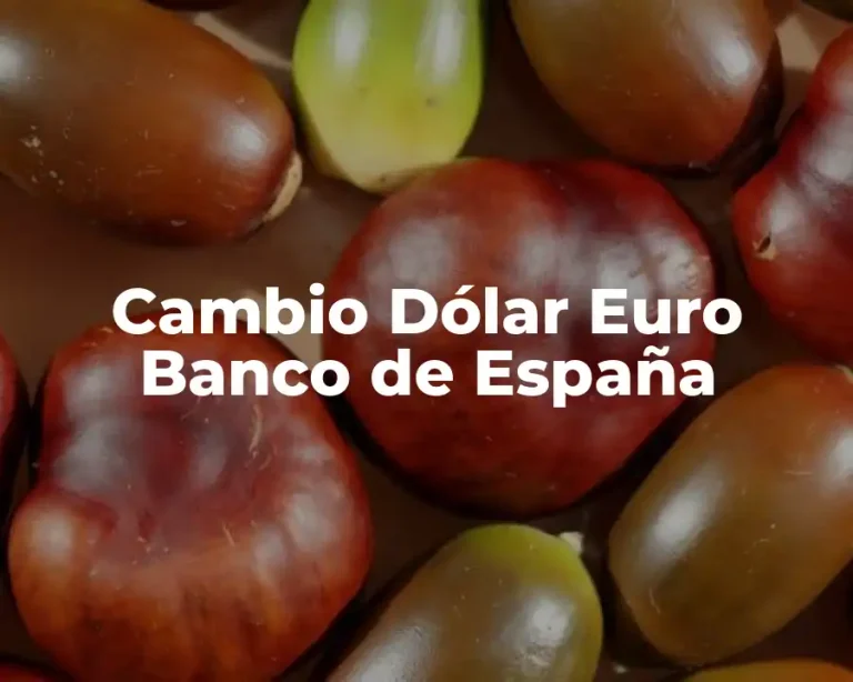 Cambio Dólar Euro Banco de España