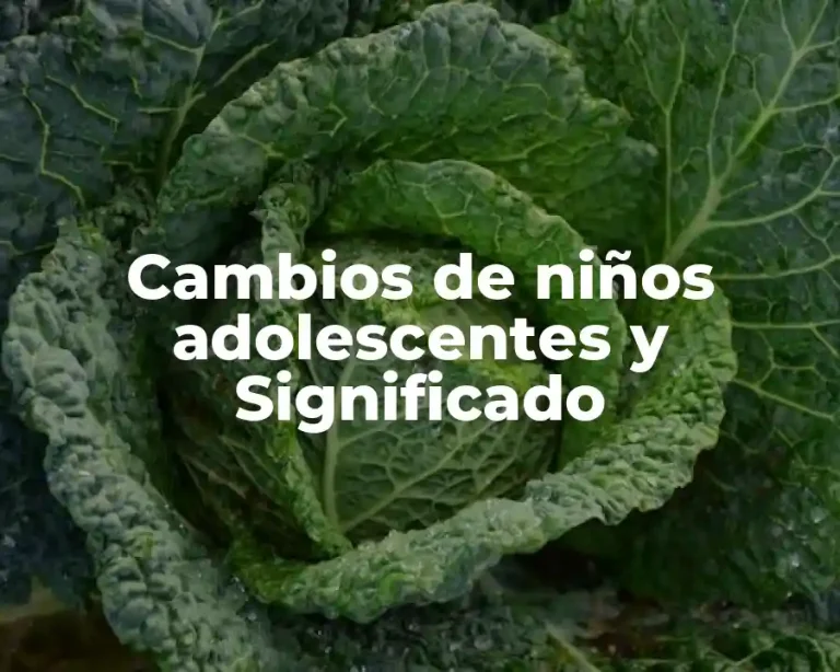 Cambios de niños adolescentes y Significado