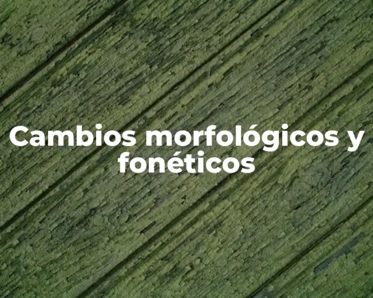 Cambios morfológicos y fonéticos