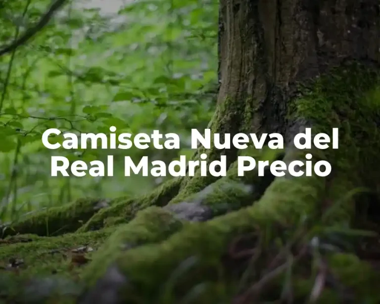 Camiseta Nueva del Real Madrid Precio