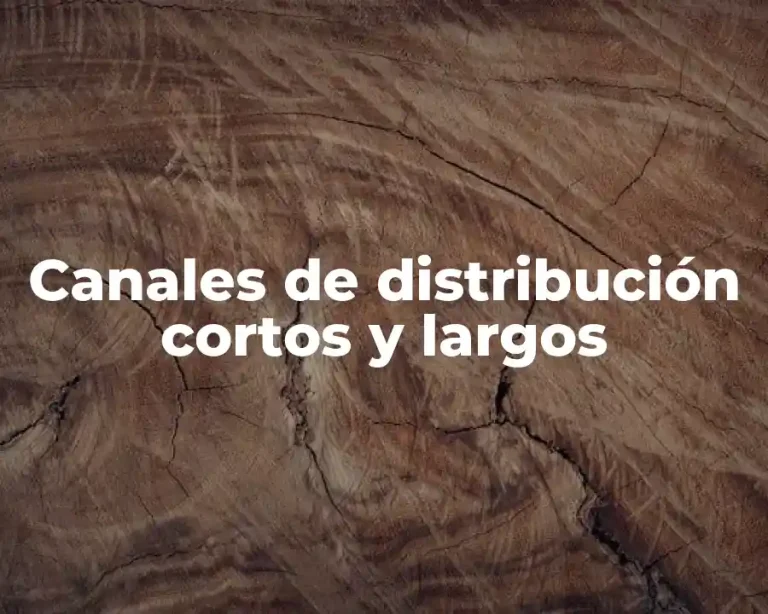 Canales de distribución cortos y largos