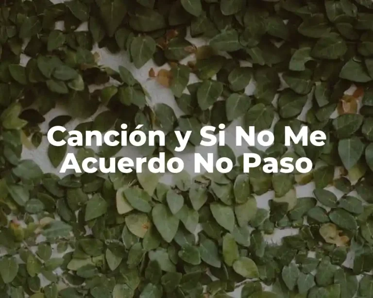 Canción y Si No Me Acuerdo No Paso
