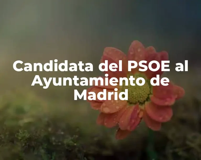 Candidata del PSOE al Ayuntamiento de Madrid