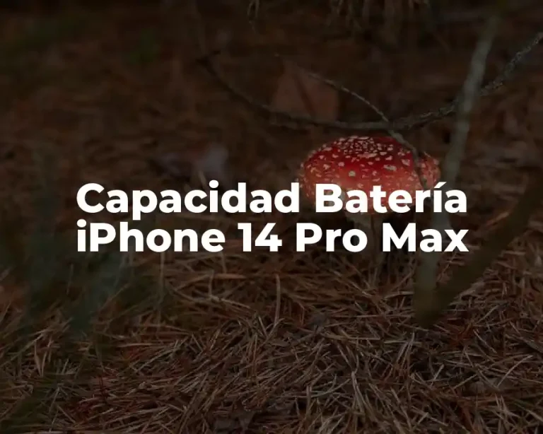 Capacidad Batería iPhone 14 Pro Max