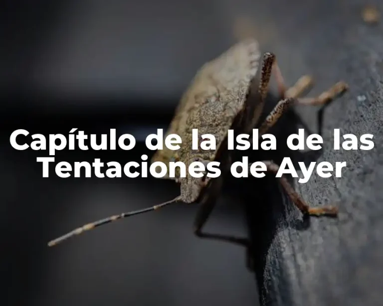 Capítulo de la Isla de las Tentaciones de Ayer