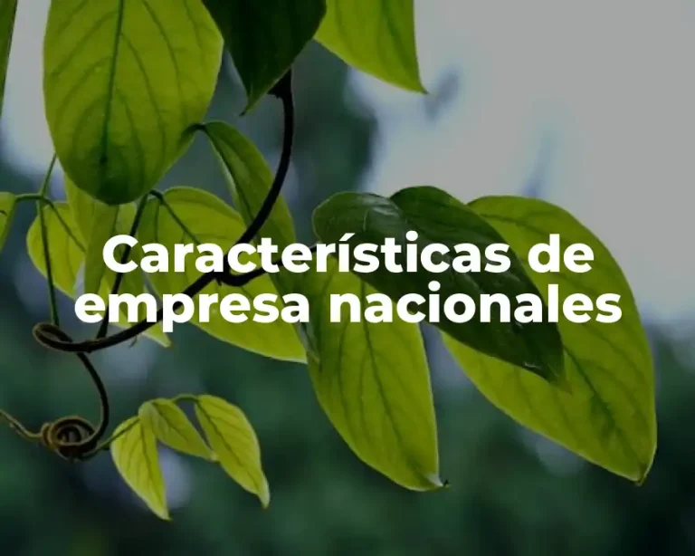 Características de empresa nacionales