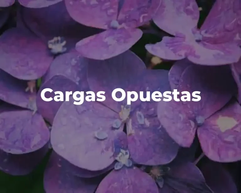 Cargas Opuestas