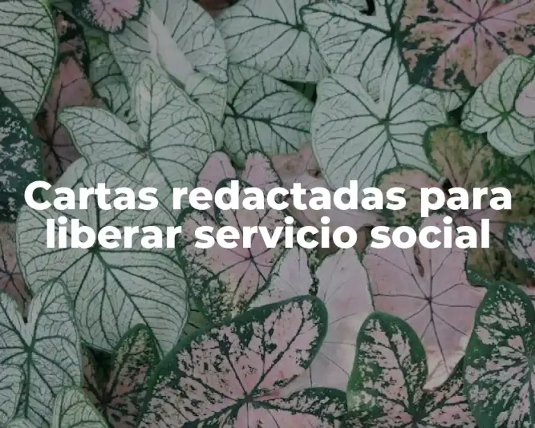 Cartas redactadas para liberar servicio social