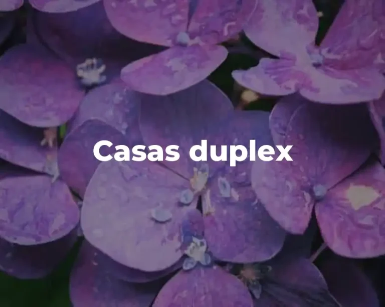 Casas duplex