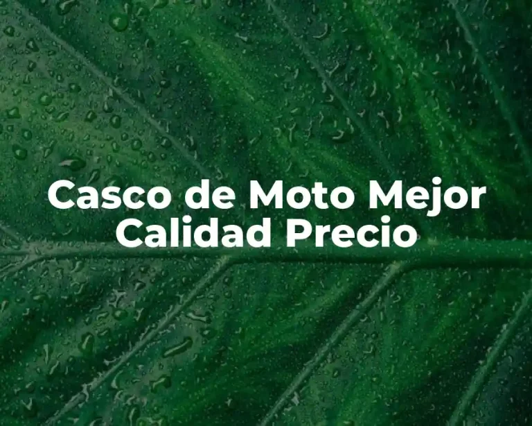 Casco de Moto Mejor Calidad Precio