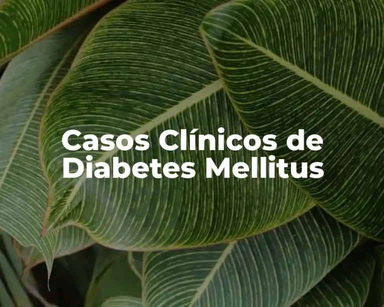 Casos Clínicos de Diabetes Mellitus