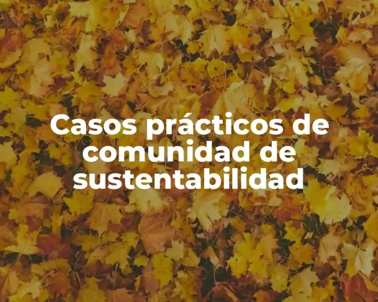 Casos prácticos de comunidad de sustentabilidad