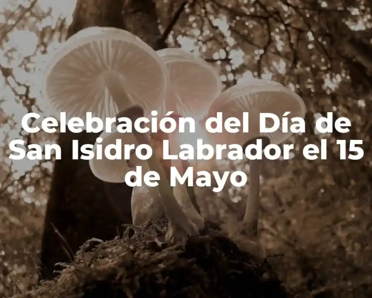 Celebración del Día de San Isidro Labrador el 15 de Mayo