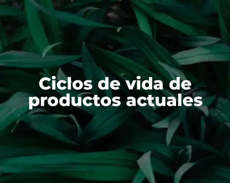 Ciclos de vida de productos actuales