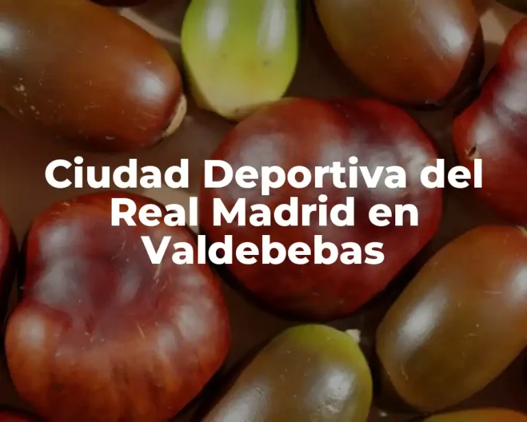 Ciudad Deportiva del Real Madrid en Valdebebas