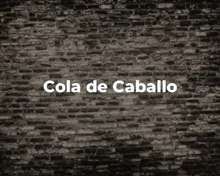 Cola de Caballo