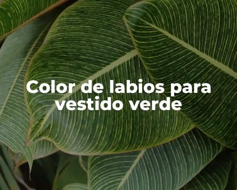 Color de labios para vestido verde