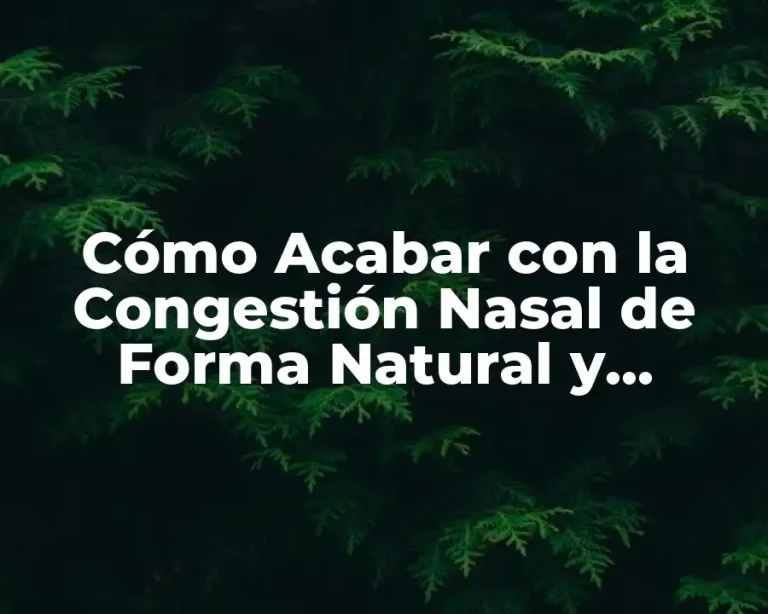 Cómo Acabar con la Congestión Nasal de Forma Natural y Efectiva