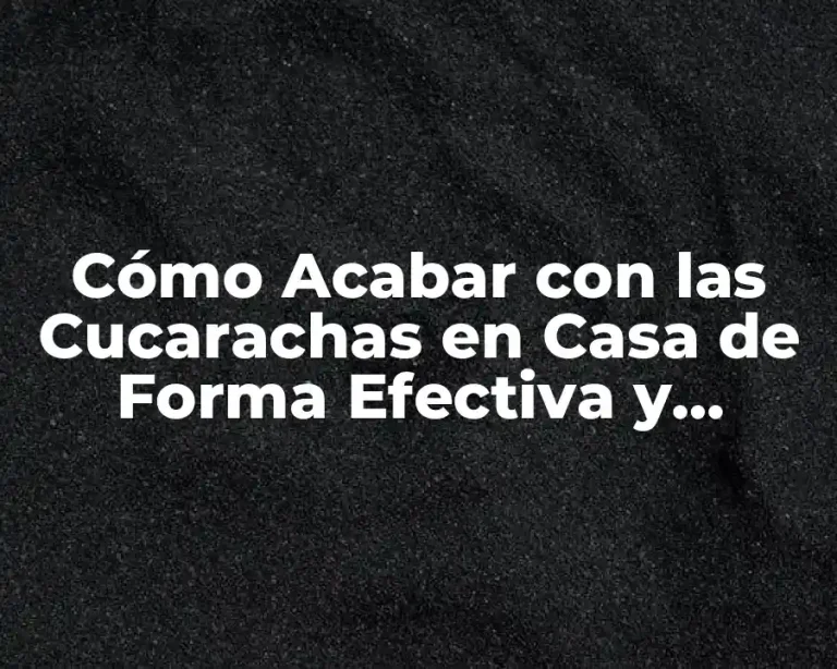 Cómo Acabar con las Cucarachas en Casa de Forma Efectiva y Segura