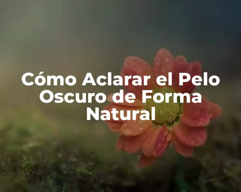 Cómo Aclarar el Pelo Oscuro de Forma Natural