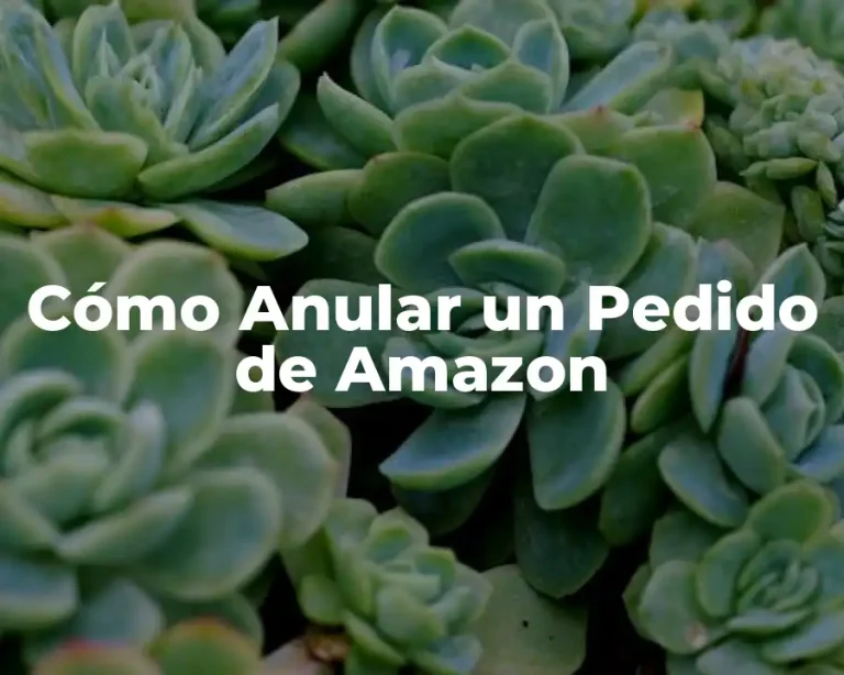 Cómo Anular un Pedido de Amazon