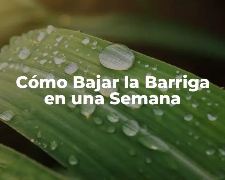 Cómo Bajar la Barriga en una Semana