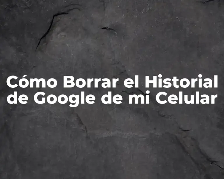 Cómo Borrar el Historial de Google de mi Celular