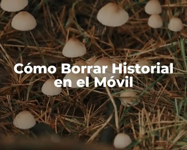 Cómo Borrar Historial en el Móvil