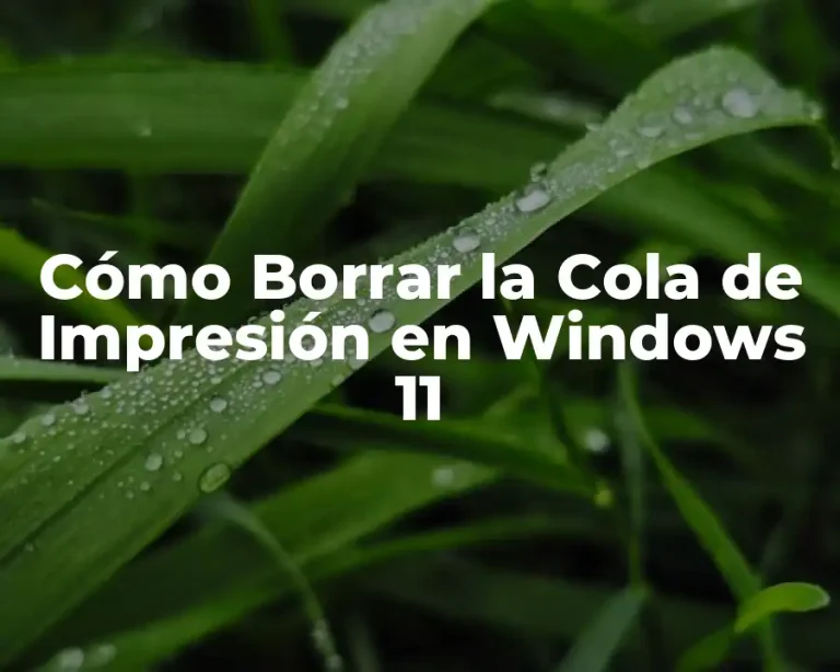Cómo Borrar la Cola de Impresión en Windows 11