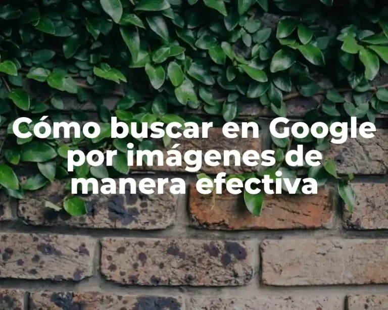 Cómo buscar en Google por imágenes de manera efectiva