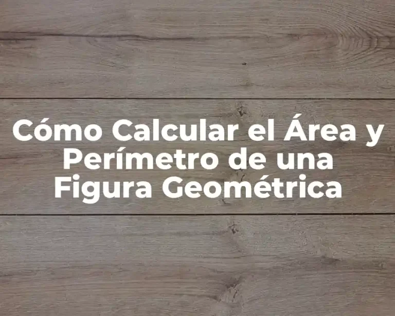 Cómo Calcular el Área y Perímetro de una Figura Geométrica