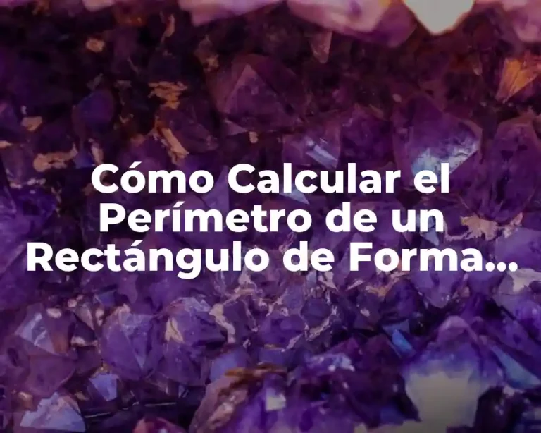Cómo Calcular el Perímetro de un Rectángulo de Forma Fácil y Rápida