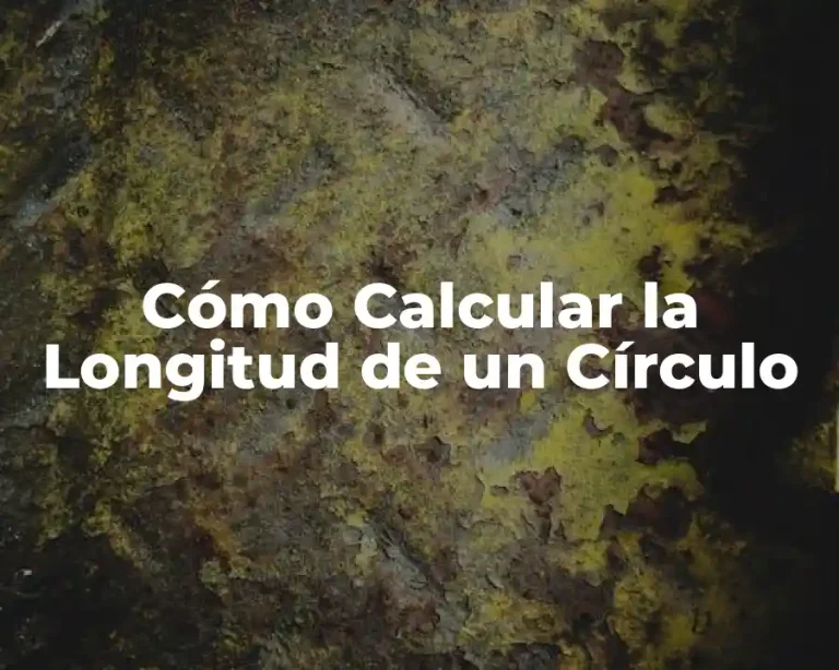 Cómo Calcular la Longitud de un Círculo