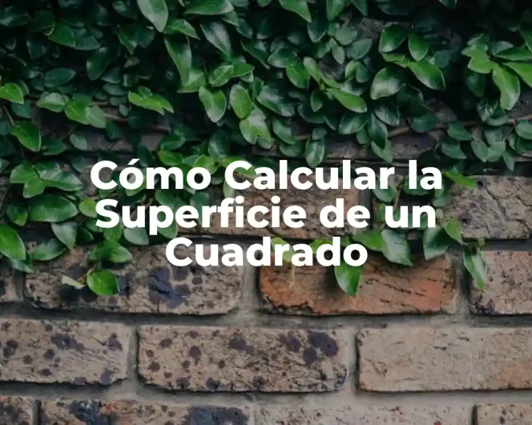 Cómo Calcular la Superficie de un Cuadrado