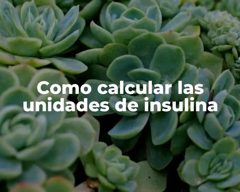 Como calcular las unidades de insulina