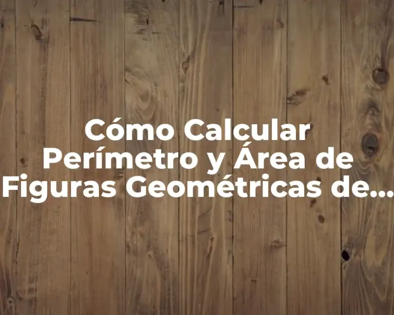 Cómo Calcular Perímetro y Área de Figuras Geométricas de Forma Sencilla