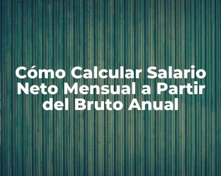 Cómo Calcular Salario Neto Mensual a Partir del Bruto Anual