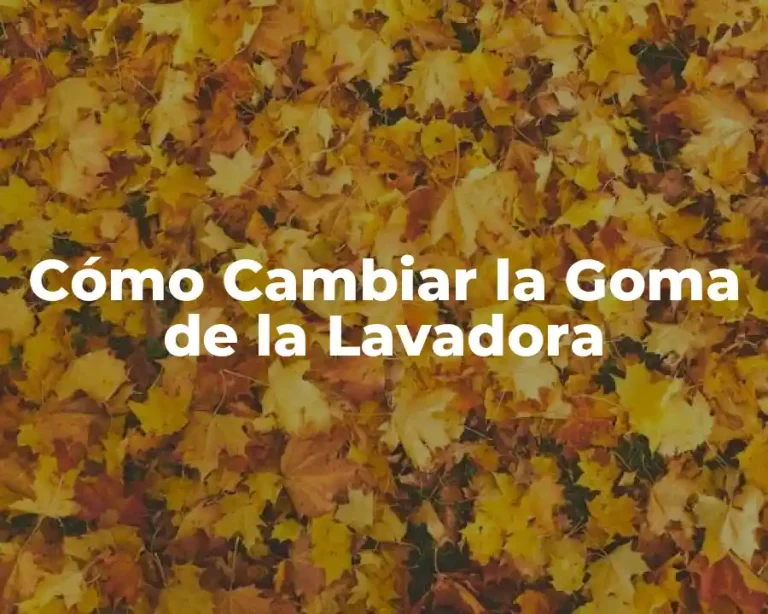 Cómo Cambiar la Goma de la Lavadora