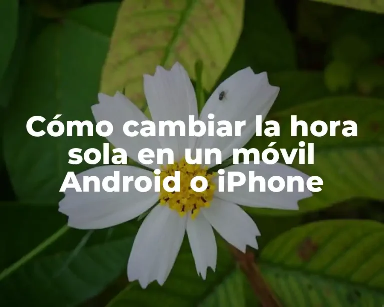 Cómo cambiar la hora sola en un móvil Android o iPhone