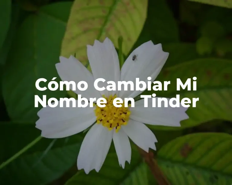Cómo Cambiar Mi Nombre en Tinder