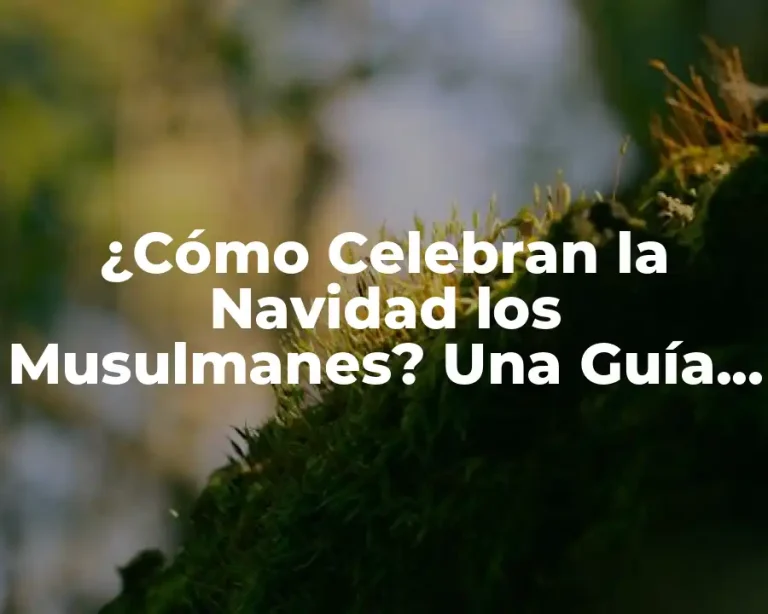 ¿Cómo Celebran la Navidad los Musulmanes? Una Guía Completa