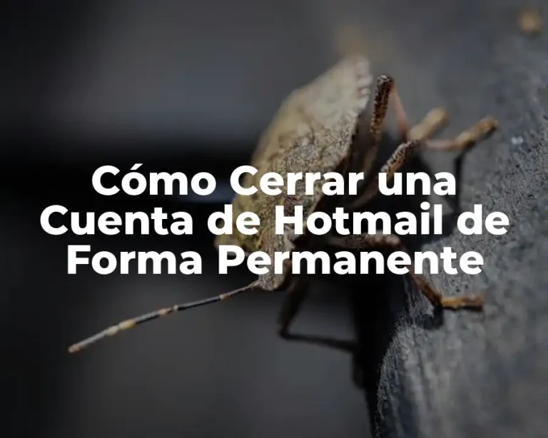Cómo Cerrar una Cuenta de Hotmail de Forma Permanente