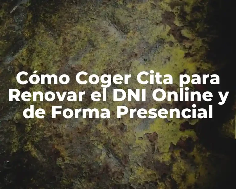 Cómo Coger Cita para Renovar el DNI Online y de Forma Presencial