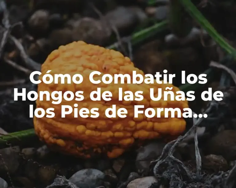 Cómo Combatir los Hongos de las Uñas de los Pies de Forma Efectiva