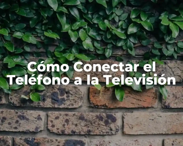 Cómo Conectar el Teléfono a la Televisión