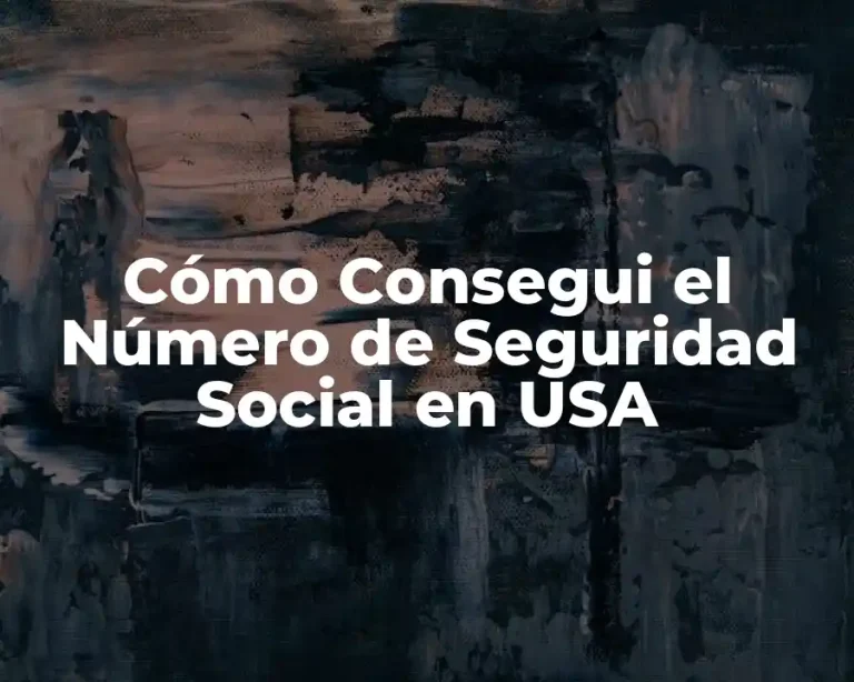 Cómo Consegui el Número de Seguridad Social en USA