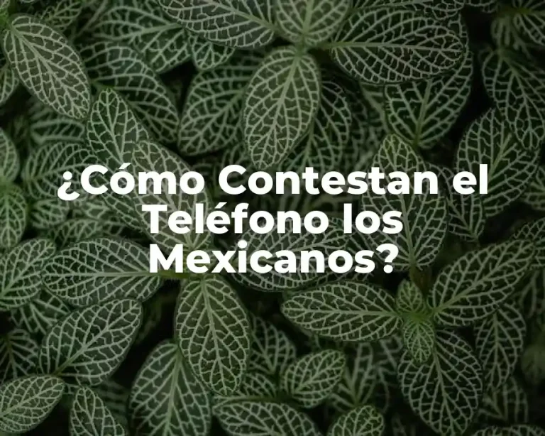 ¿Cómo Contestan el Teléfono los Mexicanos?