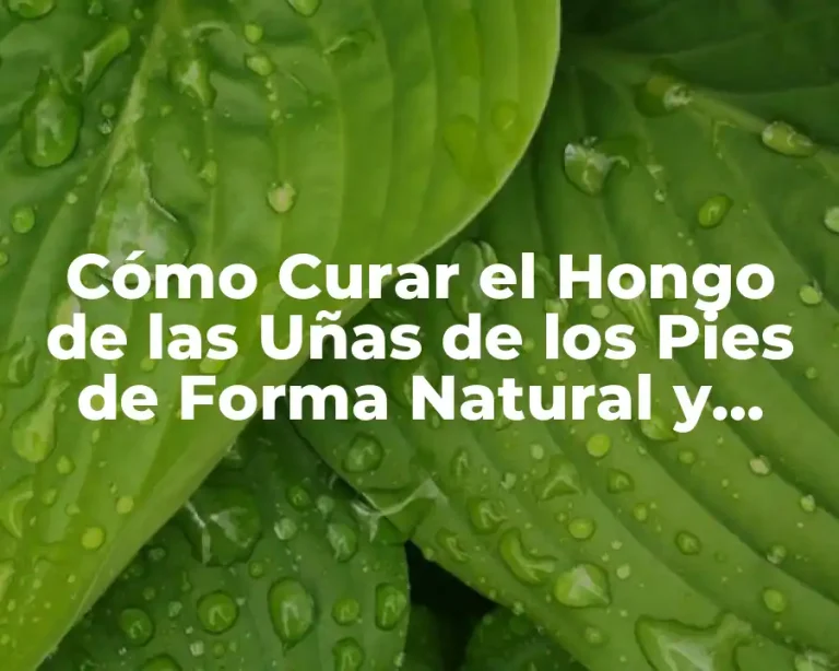 Cómo Curar el Hongo de las Uñas de los Pies de Forma Natural y Efectiva