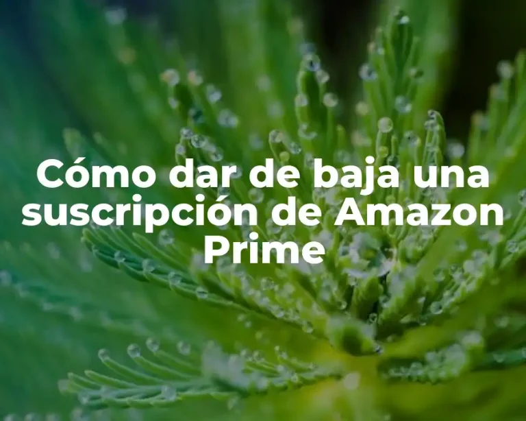 Cómo dar de baja una suscripción de Amazon Prime